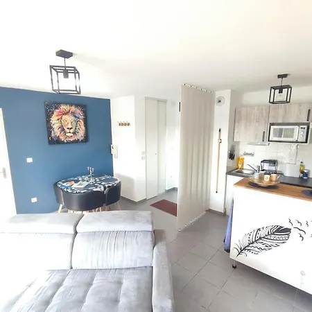 T2 Avec Jardin Proche Aeroport, Airbus, Meet Appartement Daux