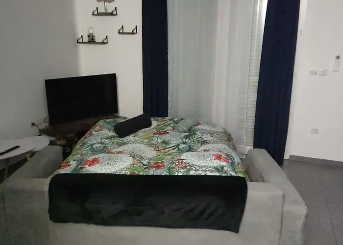 T2 Avec Jardin Proche Aeroport, Airbus, Meet Daux