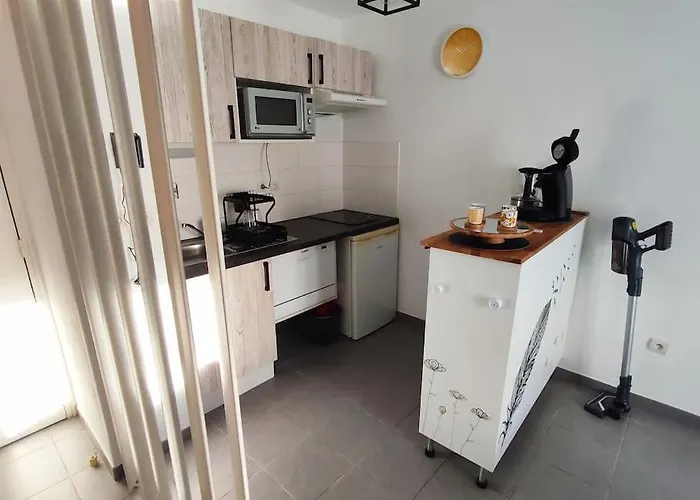 Appartement T2 Avec Jardin Proche Aeroport, Airbus, Meet *