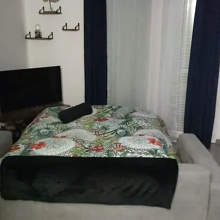 T2 Avec Jardin Proche Aeroport, Airbus, Meet Daux