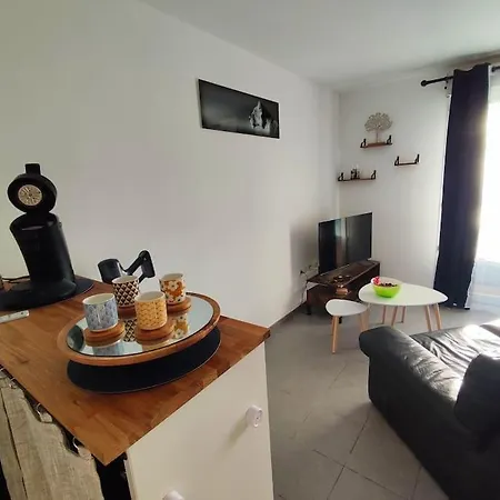 T2 Avec Jardin Proche Aeroport, Airbus, Meet Daux